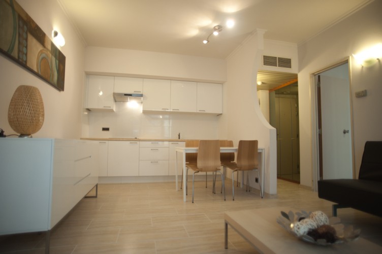 Business apartment Antwerp for rent
