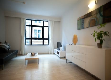 serviced apartment in the heart of Antwerp to let